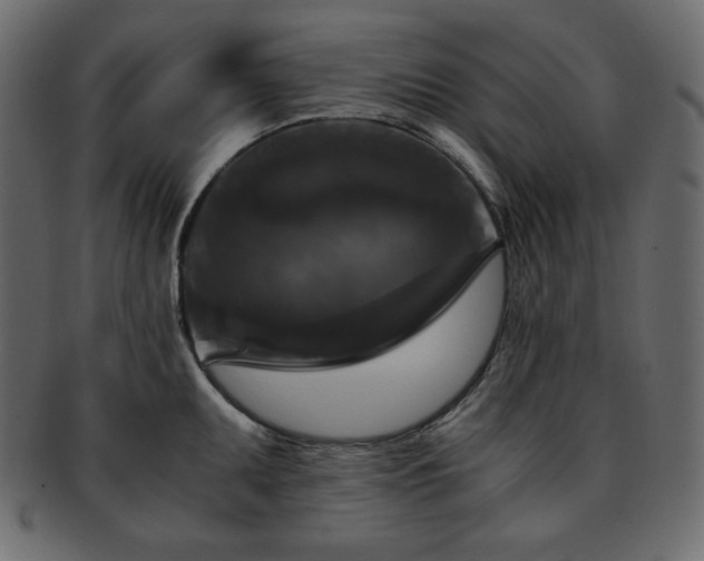 X0000093371095200710191111