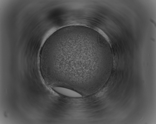 X0000093371096200710191111