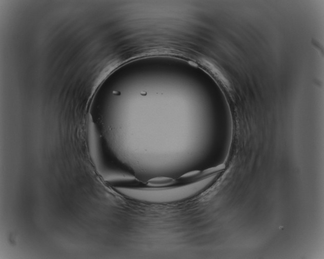 X0000093371097200710191111