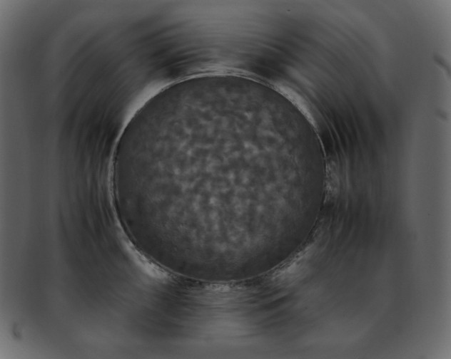 X0000093371098200710191111