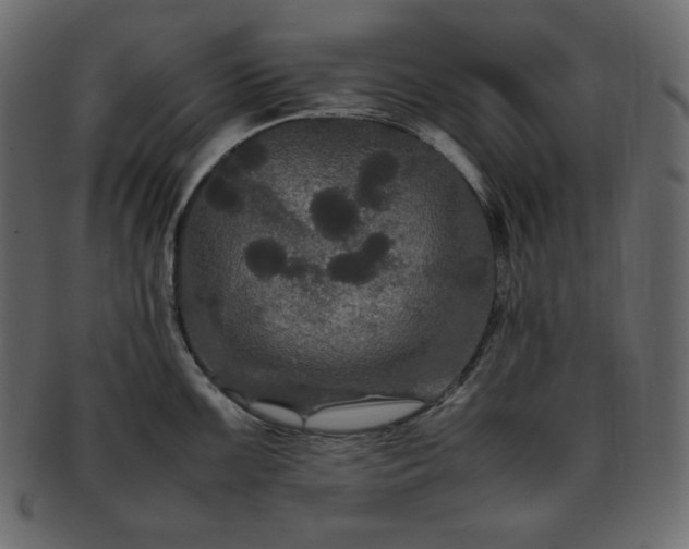 X0000093371099200710191111