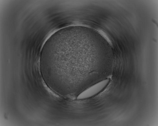 X0000093371100200710191111