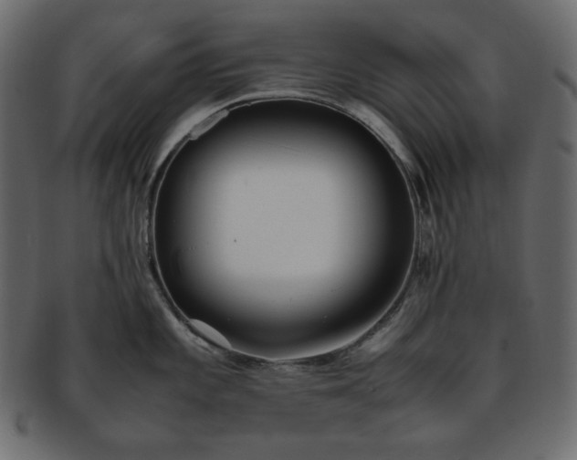 X0000093371101200710191111