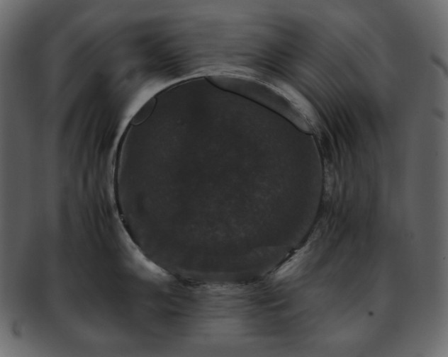 X0000093371102200710191111