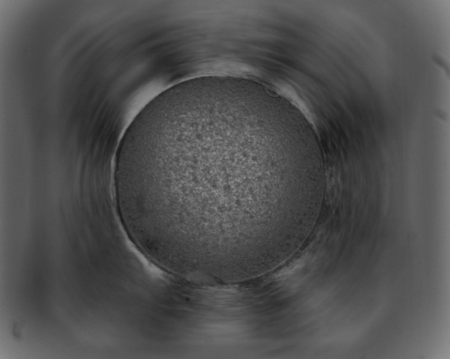 X0000093371103200710191111