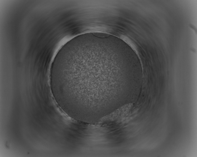 X0000093371104200710191111