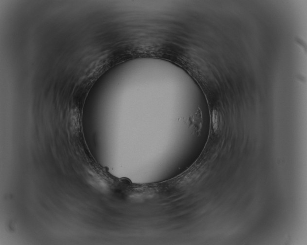 X0000093371107200710191111