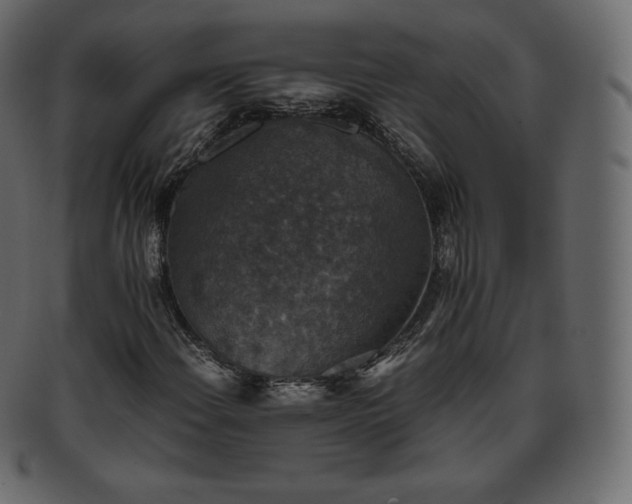 X0000093371108200710191111