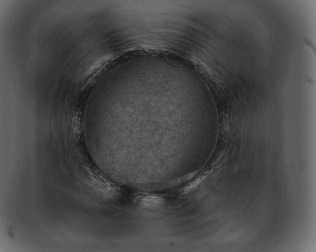 X0000093371110200710191111