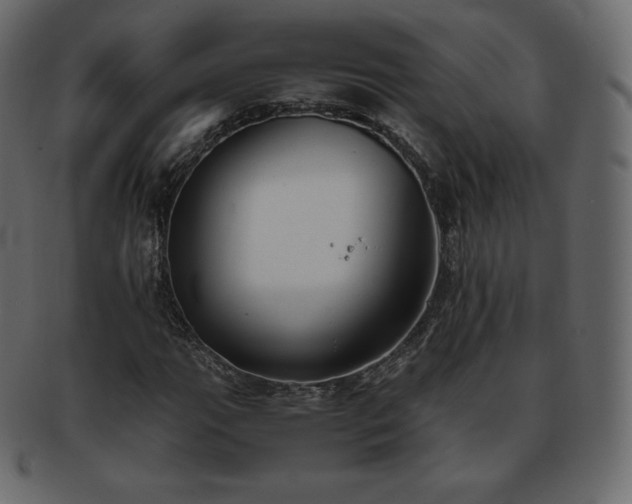 X0000093371111200710191111