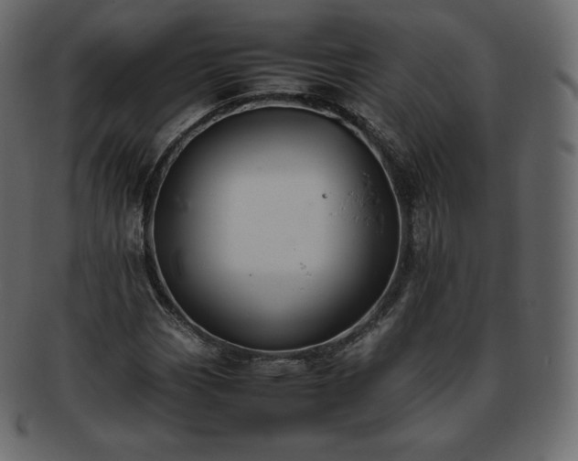 X0000093371113200710191111