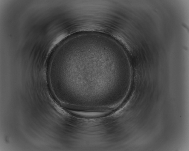 X0000093371114200710191111