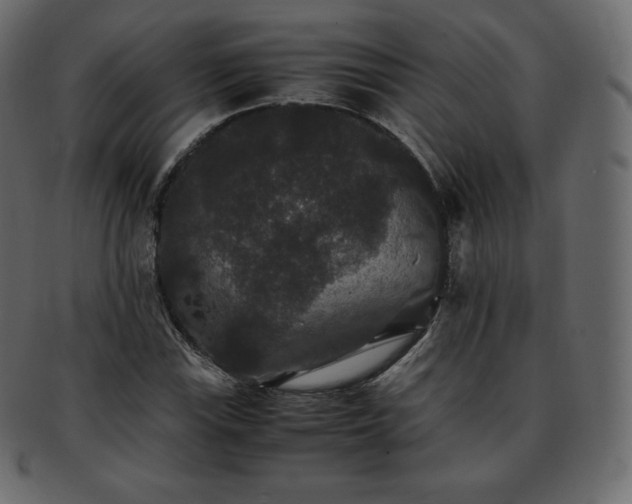 X0000093371115200710191111