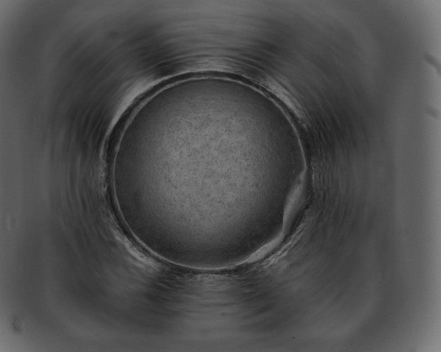 X0000093371116200710191111