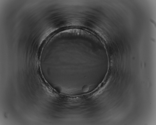 X0000093371117200710191111