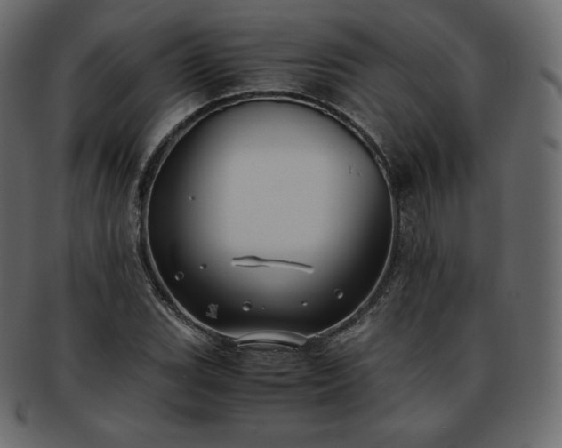 X0000093371119200710191111