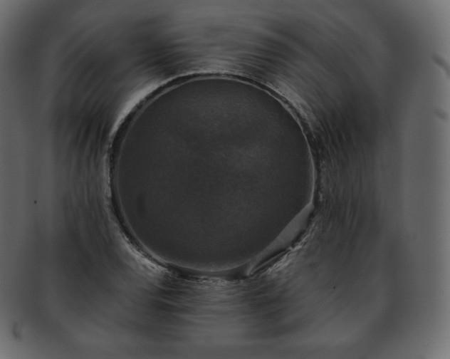 X0000093371120200710191111