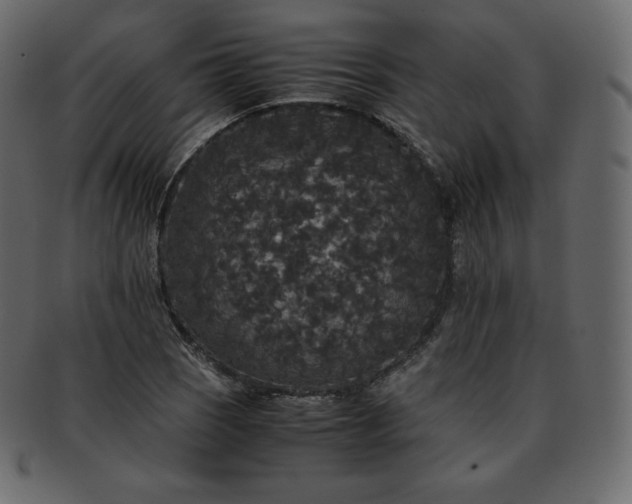 X0000093371121200710191111