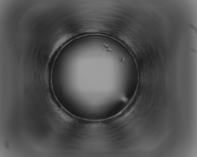 X0000093371122200710191111