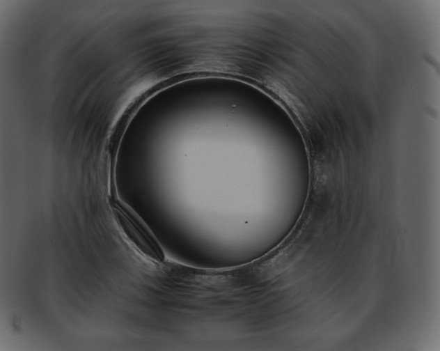 X0000093371123200710191111