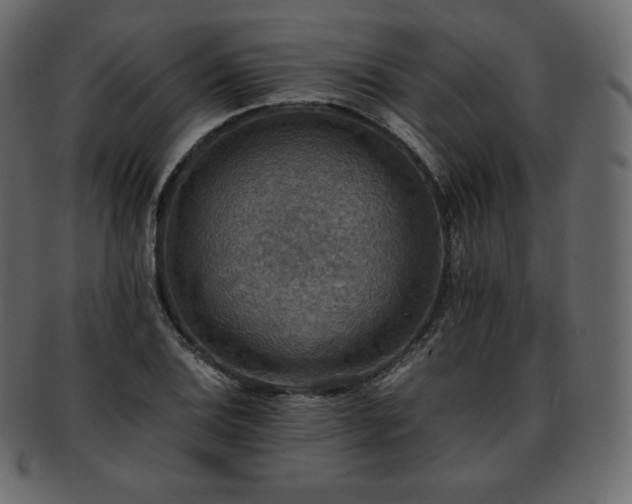 X0000093371124200710191111