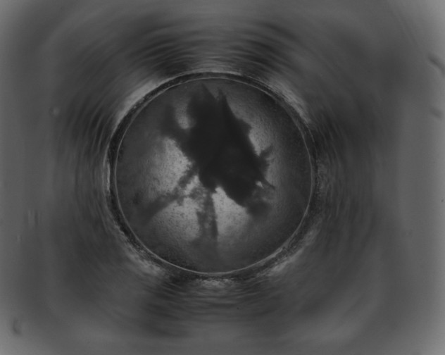 X0000093371125200710191111