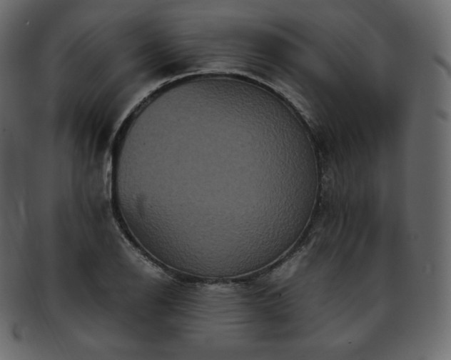 X0000093371126200710191111