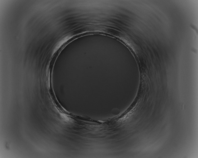 X0000093371127200710191111