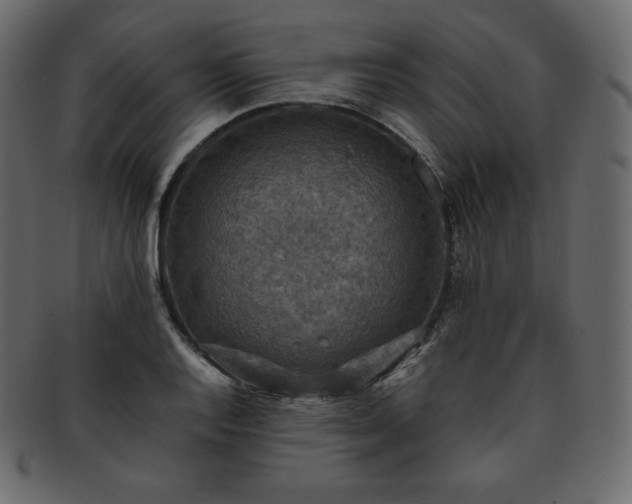 X0000093371128200710191111