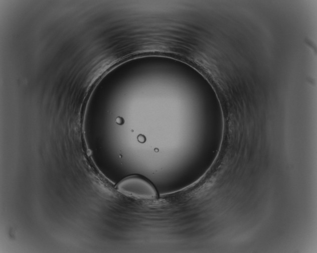 X0000093371129200710191111