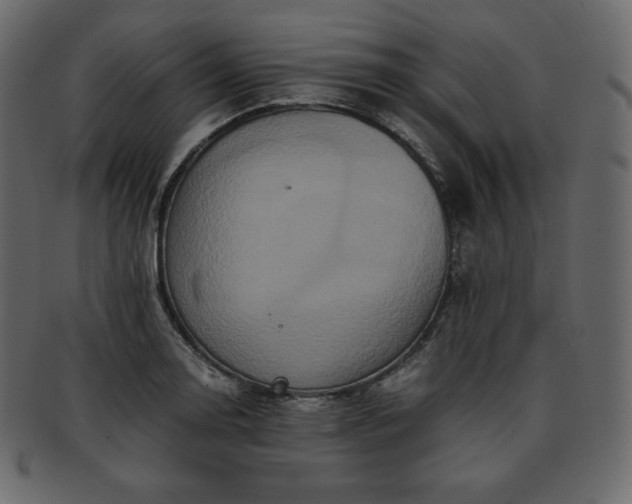 X0000093371130200710191111