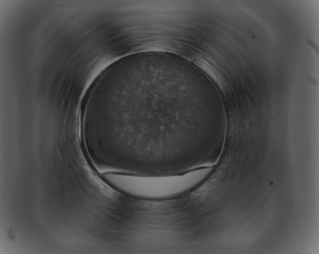 X0000093371132200710191111