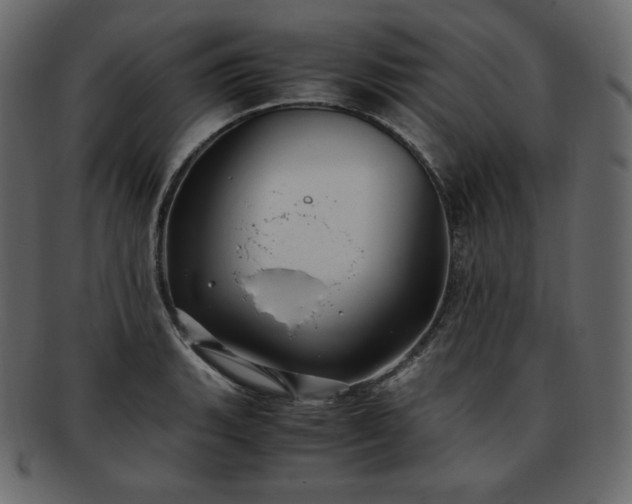 X0000093371135200710191111