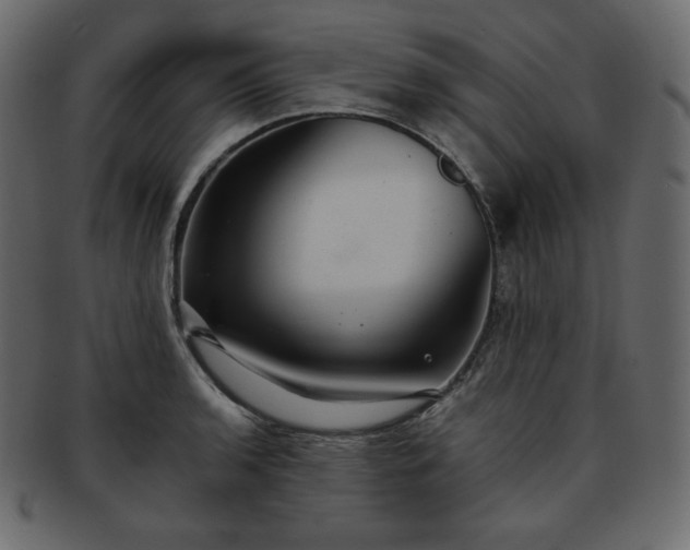 X0000093371136200710191111