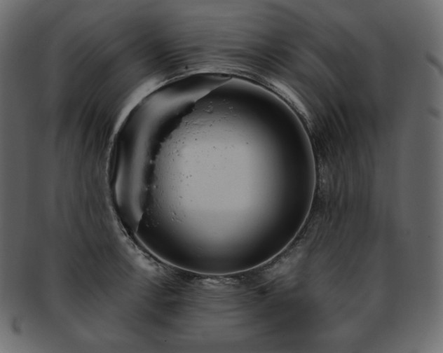 X0000093371138200710191111