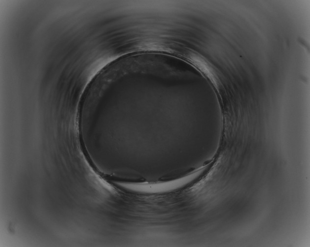 X0000093371141200710191111