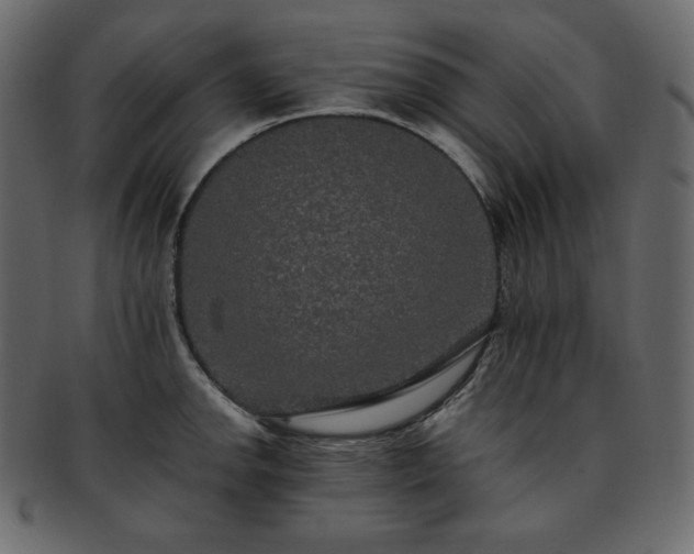 X0000093371142200710191111