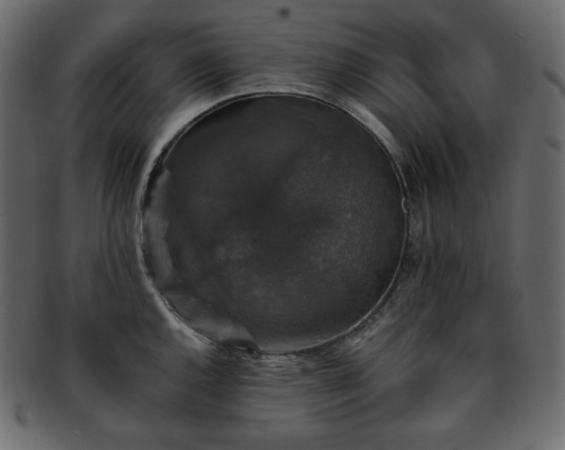 X0000093371144200710191111