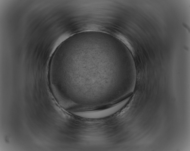 X0000093371146200710191111