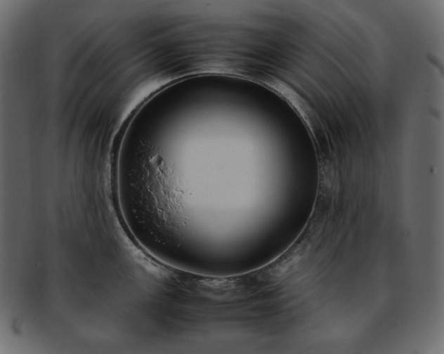 X0000093371147200710191111