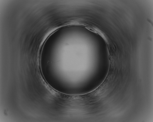 X0000093371148200710191111