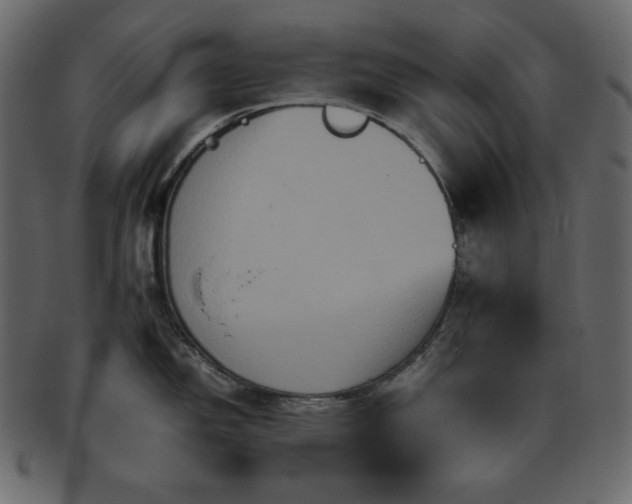 X0000093371150200710191111