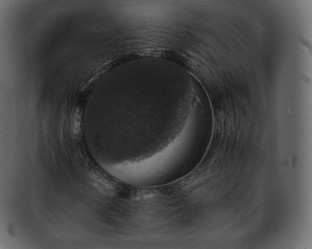 X0000093371154200710191111