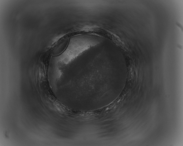 X0000093371158200710191111