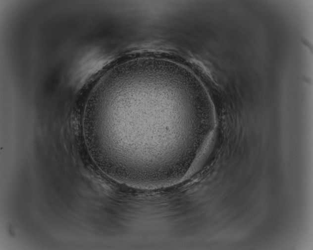 X0000093371159200710191111