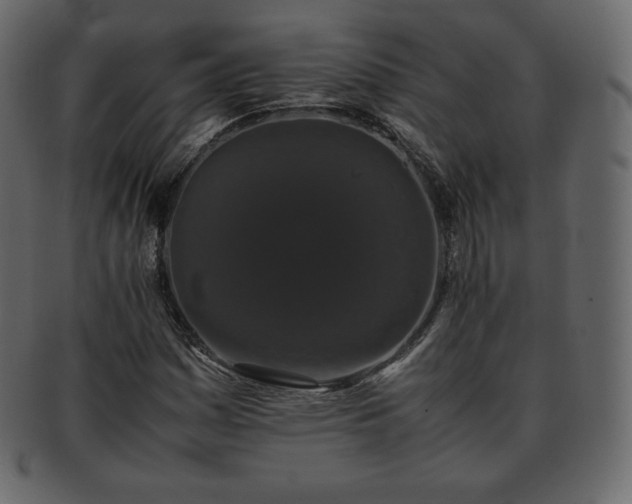 X0000093371161200710191110