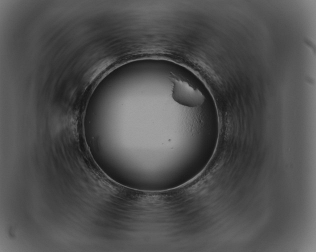 X0000093371162200710191110