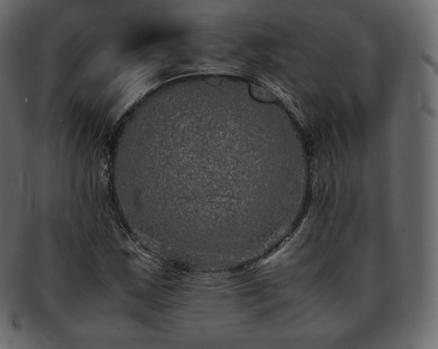 X0000093371163200710191110