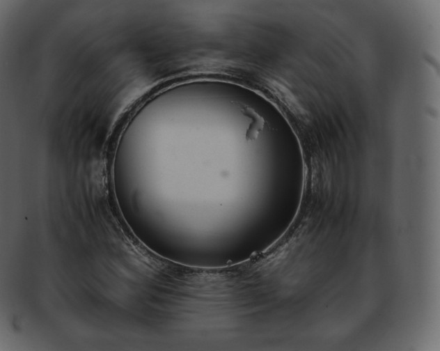 X0000093371164200710191110