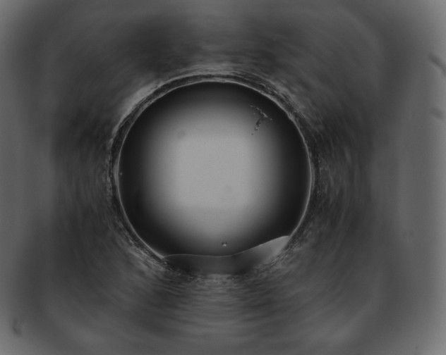 X0000093371168200710191110